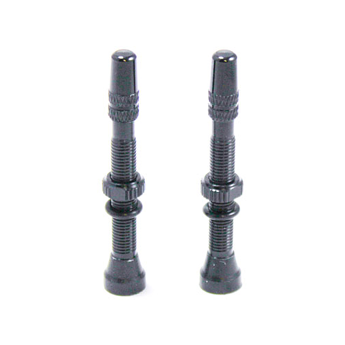 Tubeless Valves