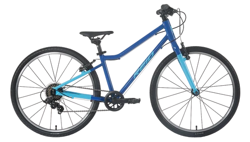 Reid H24