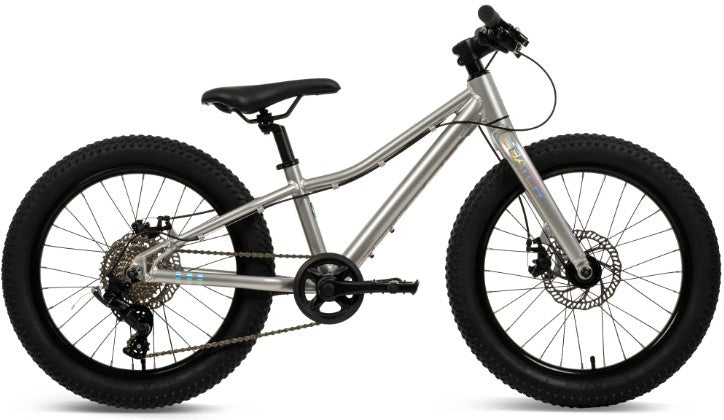 Batch 20 Kids Mountain Bike